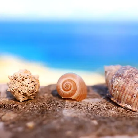 Feriehus Secluded Fisherman's Cove Stiniva, Korcula - 11389 Vela Luka